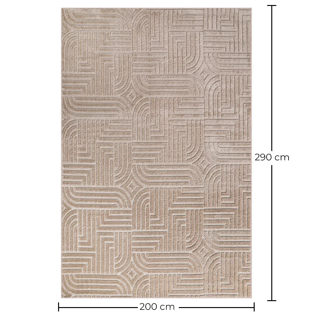 Groot Tapijt met Eigentijds Modern Ontwerp - Beige (290x200 cm) - Rococo image 10