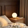 Tafellamp - Woonkamerlamp in Globe Design - Mon image 7