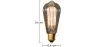Edison lamp - Eekhoorn image 7