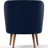 Design fauteuil - bekleed met fluweel - Krenda image 7