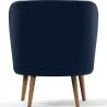 Design fauteuil - bekleed met fluweel - Krenda image 7