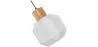 Houten en Glazen Plafondlamp - Design Hanglamp - Bumba image 7