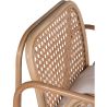 Silla de Salón de Ratán - Silla de Diseño Boho Bali - Qawa image 7