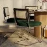 Eetkamerstoel - bekleed met fluweel - Hout en rotan - Hyre image 7