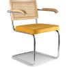Eetkamerstoel met armleuningen - Bekleed met fluweel - Hout & Rotan - Martha image 7