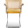 Eetkamerstoel met armleuningen - Bekleed met fluweel - Hout & Rotan - Martha image 7