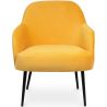 Fluwelen beklede fauteuil - Hyra image 7