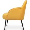 Fluwelen beklede fauteuil - Hyra image 7