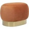 Pouf - Velours en Metaal - Luxe image 7