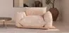 Fauteuil - Fluweel Bekleding - Wers image 7