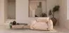 Fauteuil - Fluweel Bekleding - Wers image 7
