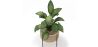 Ronde Vloerplantenbak - Boho-stijl - Fusión image 7