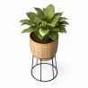Ronde Vloerplantenbak - Boho-stijl - Aventura image 7