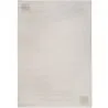 Groot Tapijt met Eigentijds Modern Ontwerp - Beige (290x200 cm) - Cyru image 7