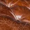 Stalen bank - bekleed met leer - Churchill image 7