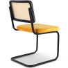 Eetkamerstoel - Bekleed met fluweel - Hout & Rotan - New Edition - Puila image 7