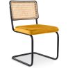 Eetkamerstoel - Bekleed met fluweel - Hout & Rotan - New Edition - Puila image 7
