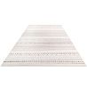 Groot Tapijt met Eigentijds Modern Ontwerp - Beige (290x200 cm) - Ferrum image 7