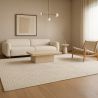 Groot Tapijt met Eigentijds Modern Ontwerp - Beige (290x200 cm) - Rosella image 7