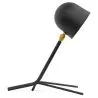 Flexo Lamp - Bureaulamp - Alexa image 7