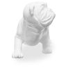 Decoratief sculptuur ontwerp Bulldog hars image 7