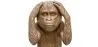 Decoratief Designbeeldje - Dove Aap - Sapiens image 7