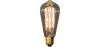 Edison lamp - Eekhoorn image 9