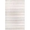 Groot Tapijt met Eigentijds Modern Ontwerp - Beige (290x200 cm) - Ferrum image 9
