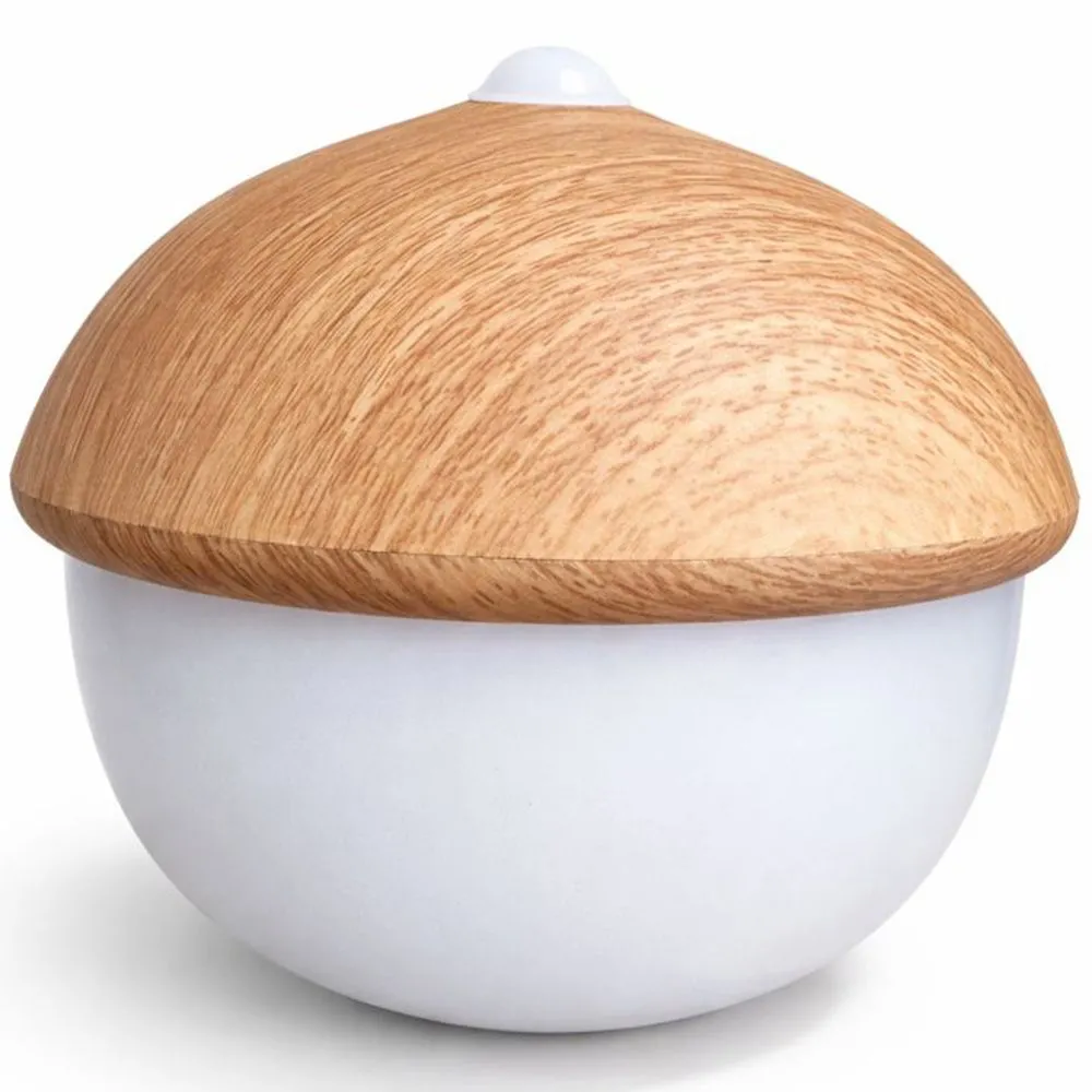 Tafellamp USB Oplaadbaar LED met Aanraak Sensor – Warm Licht – Eikel image 8