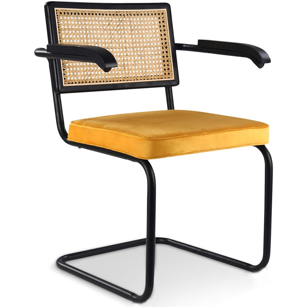 Eetkamerstoel met armleuningen - Bekleed met fluweel - Hout en rotan - Puila image 8