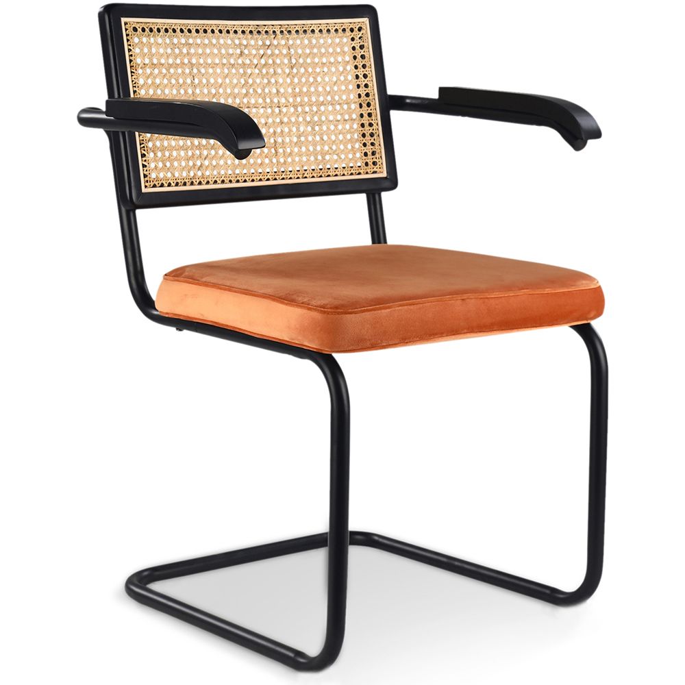 Eetkamerstoel met armleuningen - Bekleed met fluweel - Hout en rotan - Puila image 8