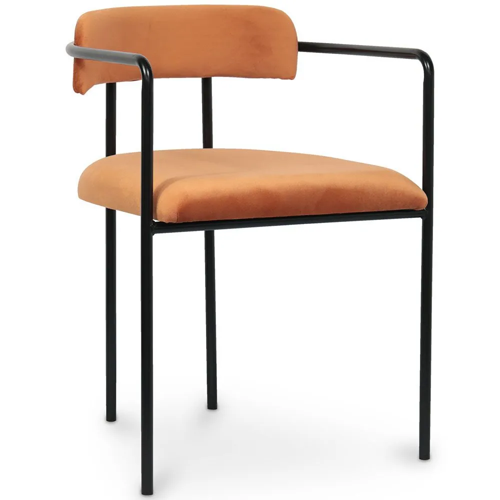 Velours Beklede Eetkamerstoel - Garne image 8