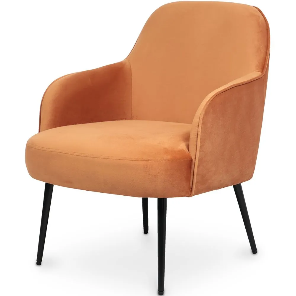 Fluwelen beklede fauteuil - Hyra image 8