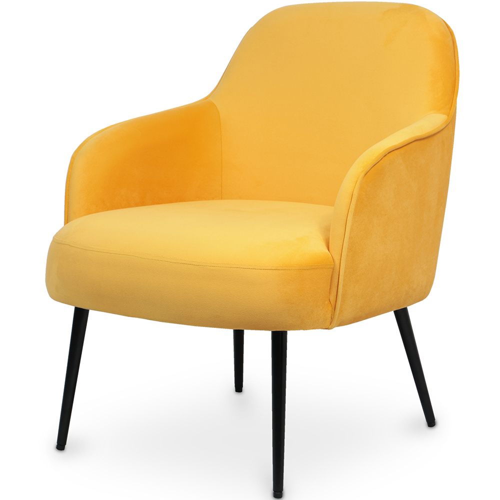 Fluwelen beklede fauteuil - Hyra image 8