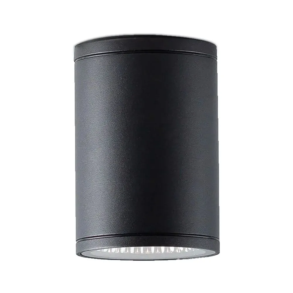 Plafond Wandlamp voor Buiten met LED-Schijnwerper - Alua image 8