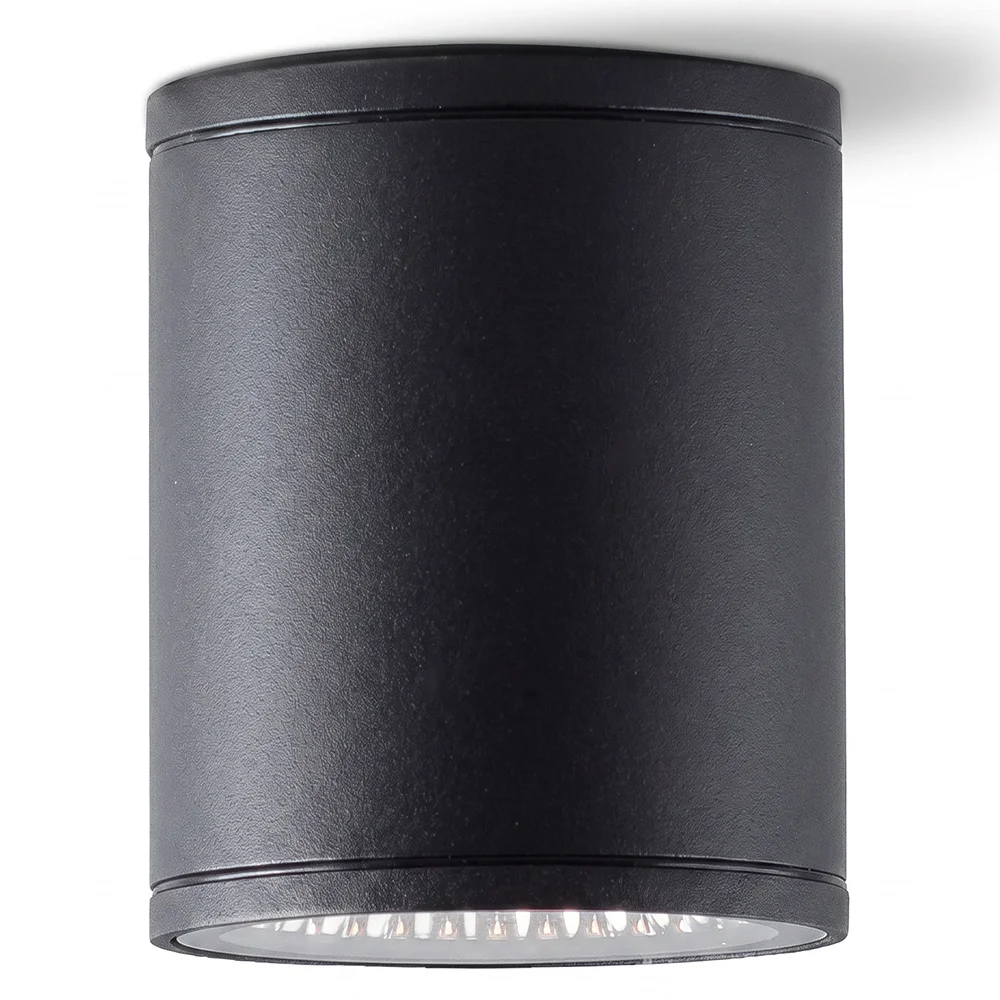 Plafond Wandlamp voor Buiten met LED-Schijnwerper - Alua image 8