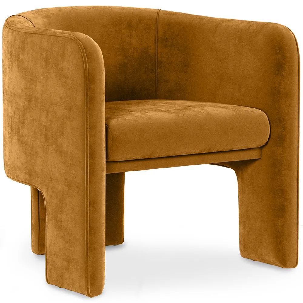 Fluwelen beklede fauteuil - Callum image 8