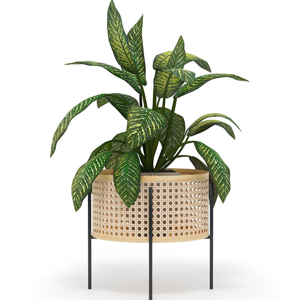 Ronde Vloerplantenbak - Boho-stijl - Fusión image 8