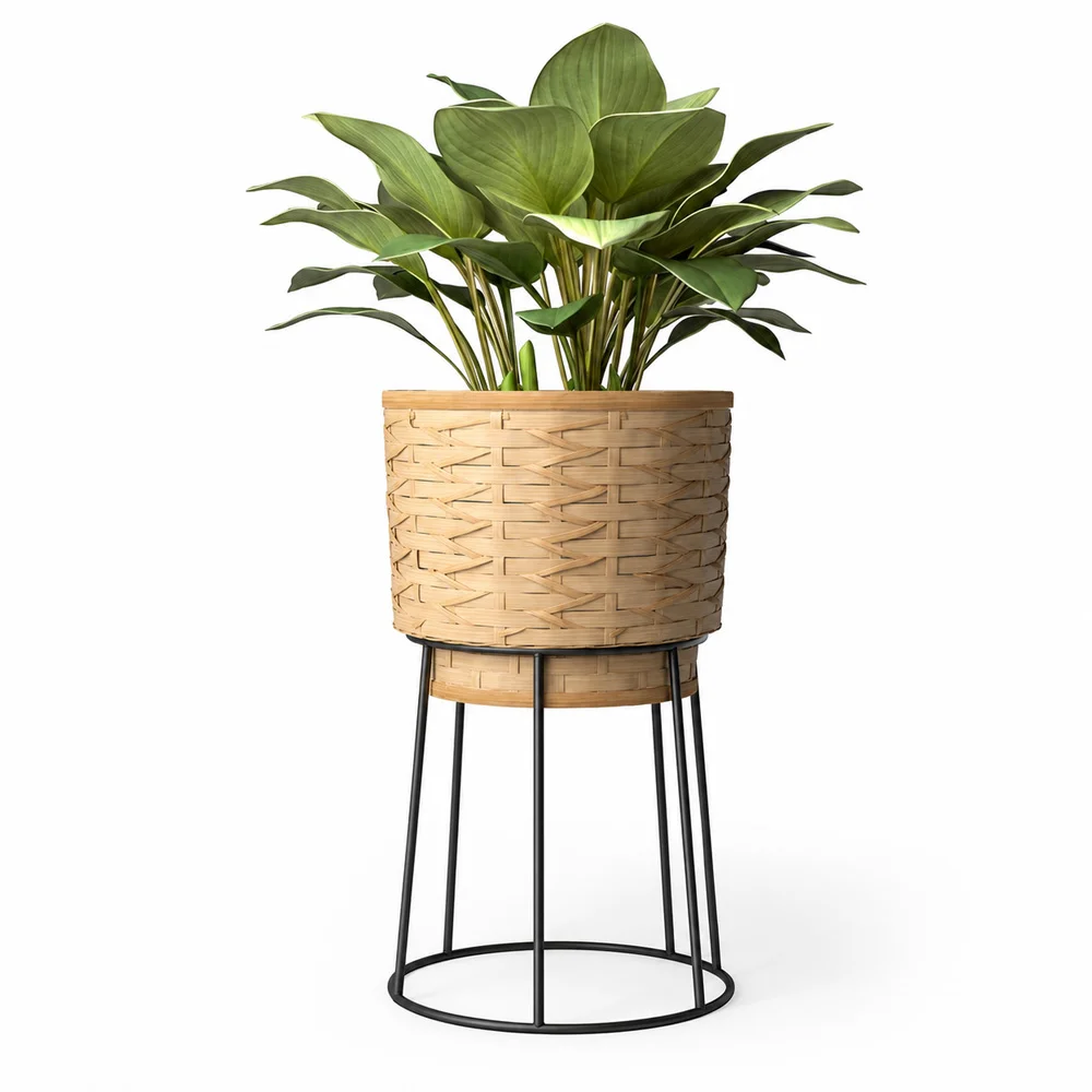 Ronde Vloerplantenbak - Boho-stijl - Aventura image 8